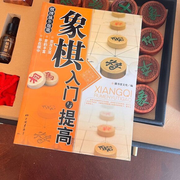 Chinese Traditional Chess Game Set wooden Home Party Chess Game Leather Case - Picture 5 of 14